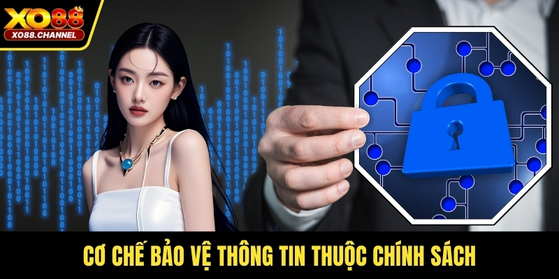 Cơ chế bảo vệ thông tin thuộc chính sách