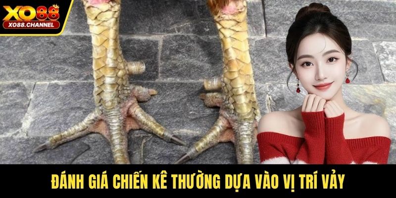 Đánh giá chiến kê thường dựa vào vị trí vảy