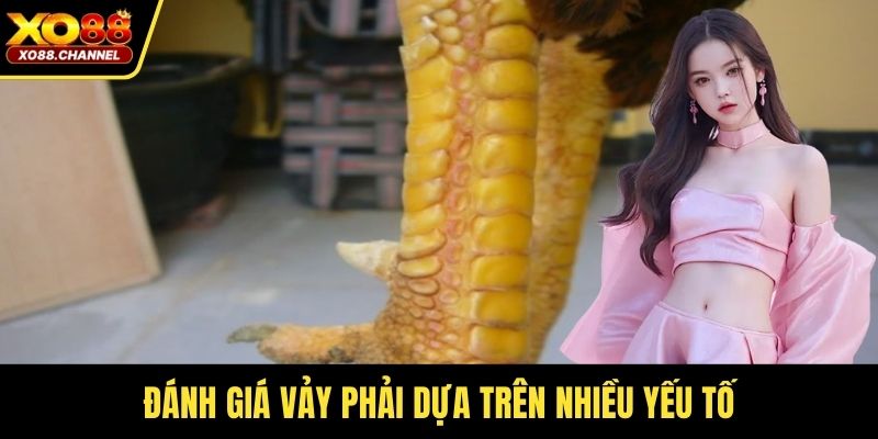 Đánh giá vảy phải dựa trên nhiều yếu tố