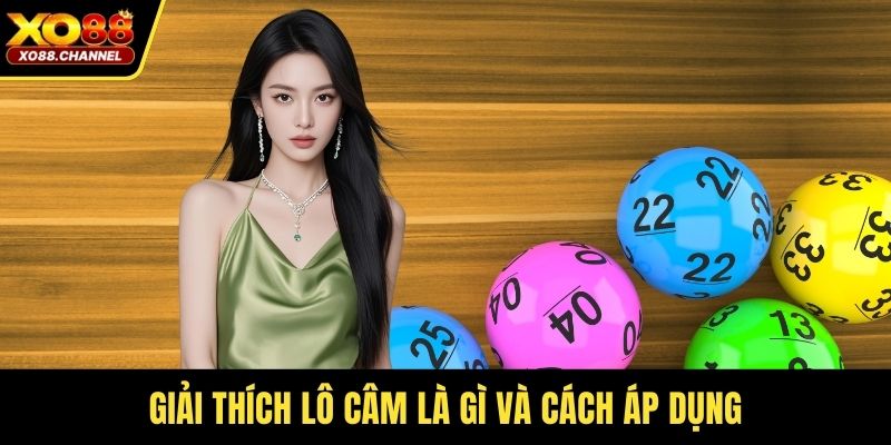 Giải thích lô câm là gì và cách áp dụng