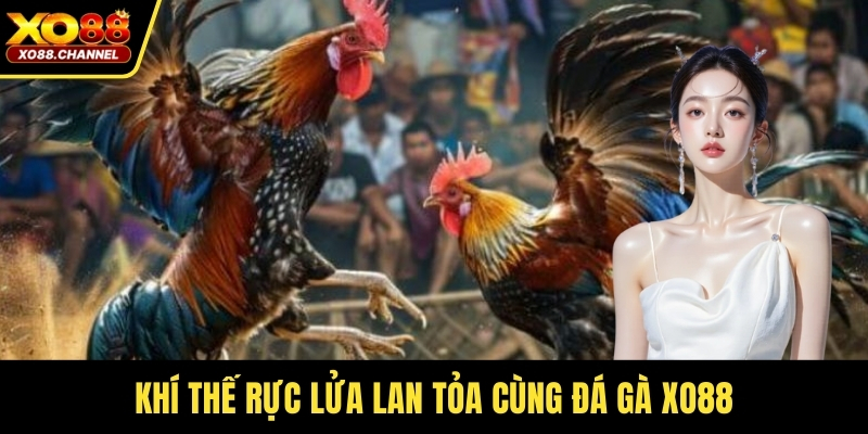Khí thế rực lửa lan tỏa cùng đá gà XO88