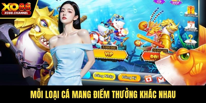 Mỗi loại cá mang điểm thưởng khác nhau