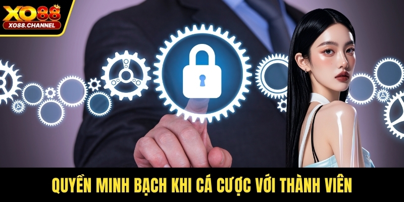 Quyền minh bạch khi cá cược với thành viên