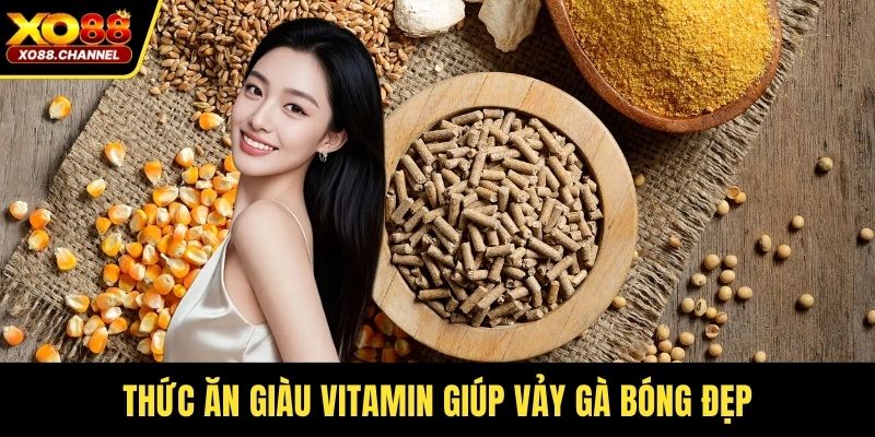 Thức ăn giàu vitamin giúp vảy gà bóng đẹp
